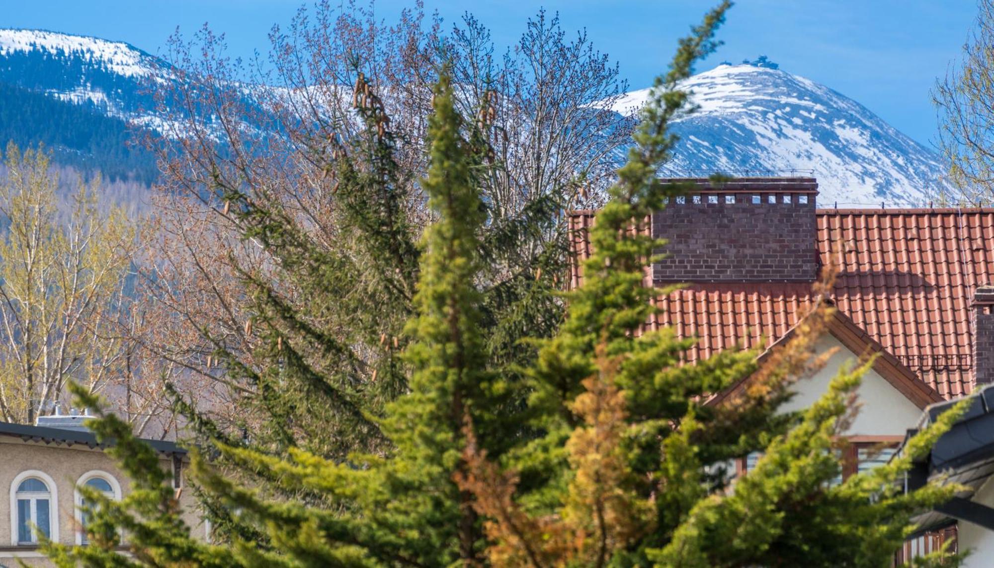 Apartament Ski Sudety Kowary Exteriör bild